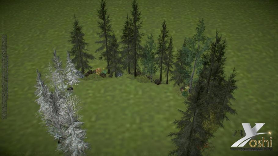 forest_border_garden